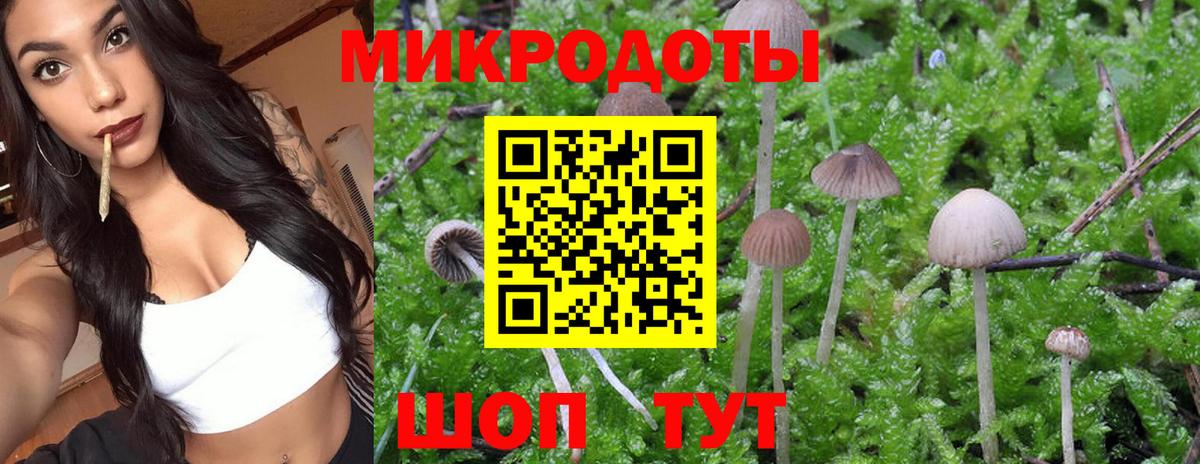 Галлюциногенные грибы прущие грибы Сегежа