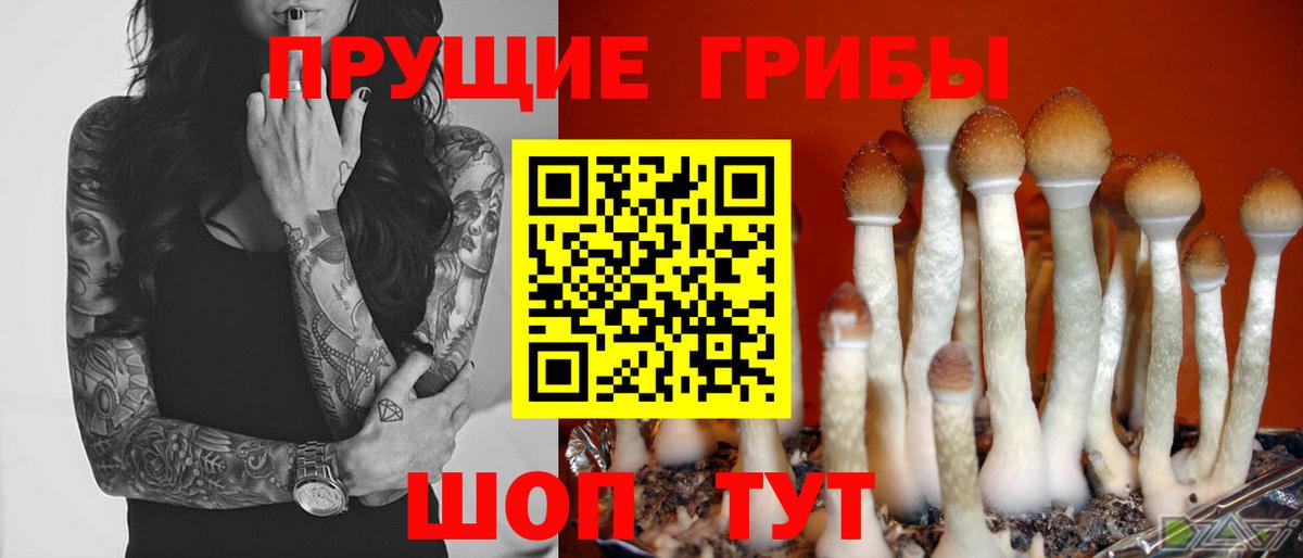 Галлюциногенные грибы Magic Shrooms  Вход с VPN  Сегежа 